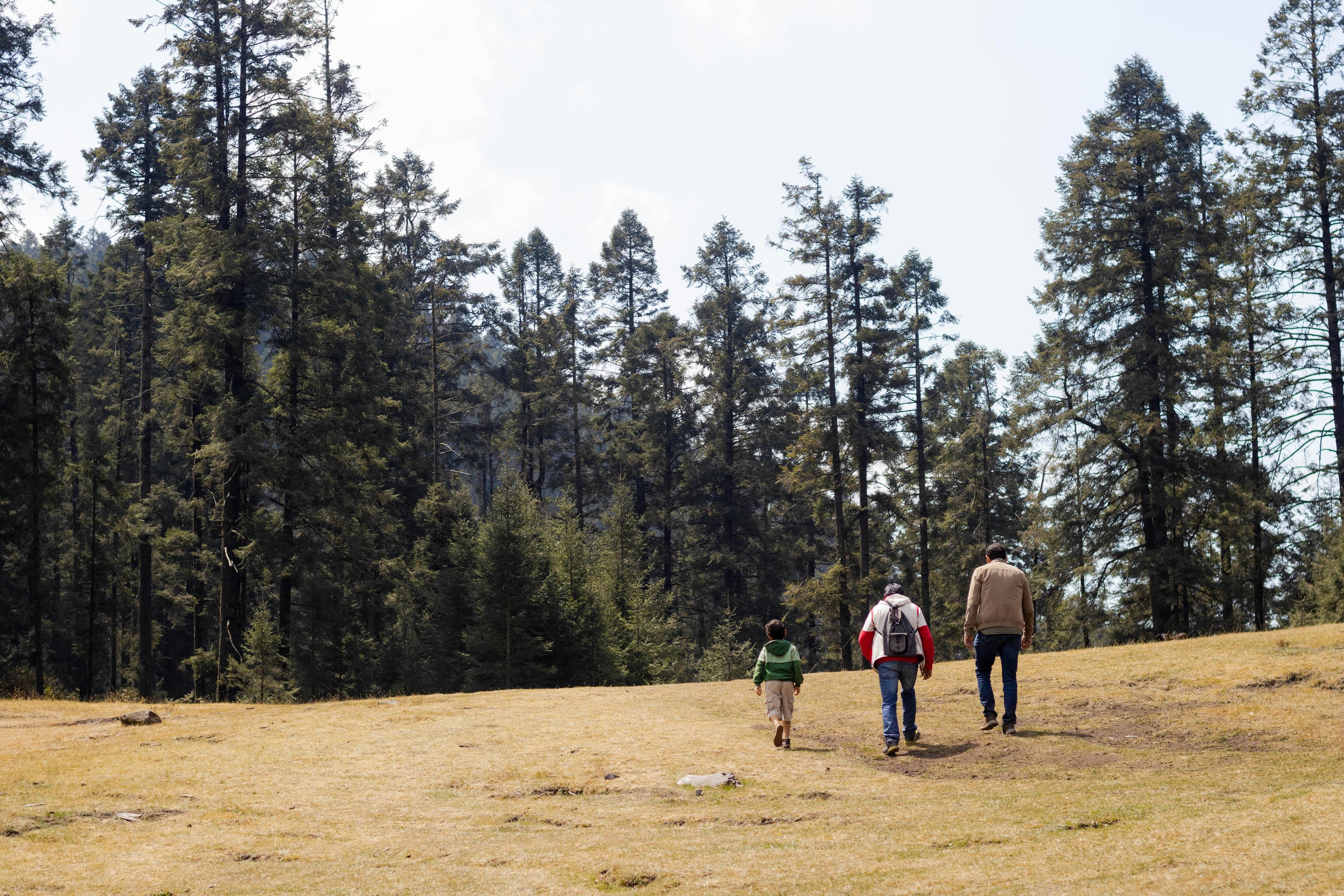 Family holidays promote family health !
