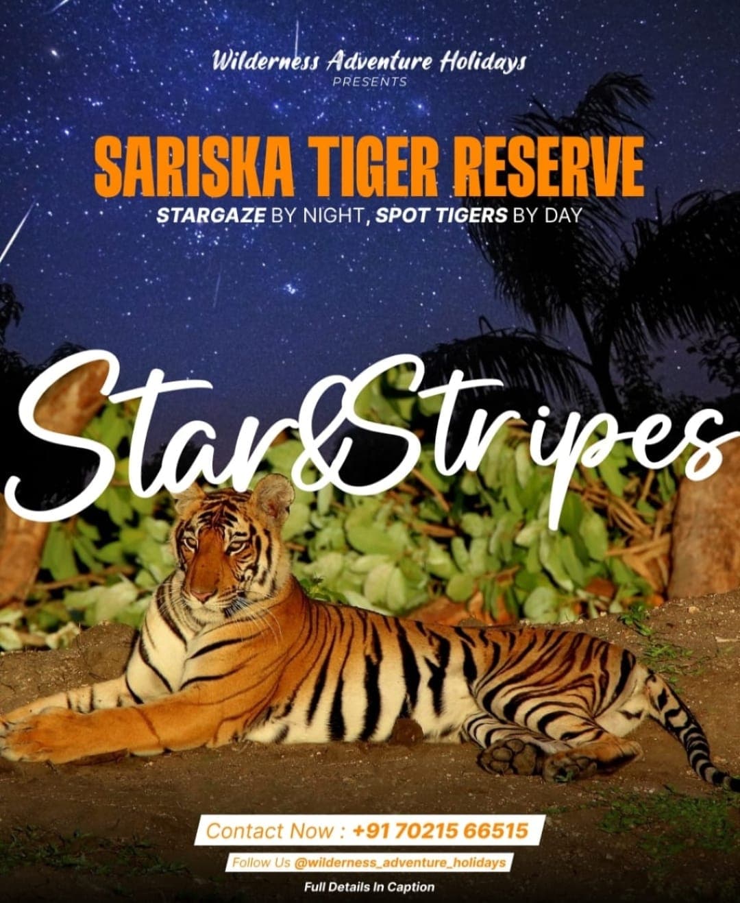 Sariska Tiger Reserve - Star & Stripes